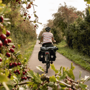 Avenue Verte London Paris