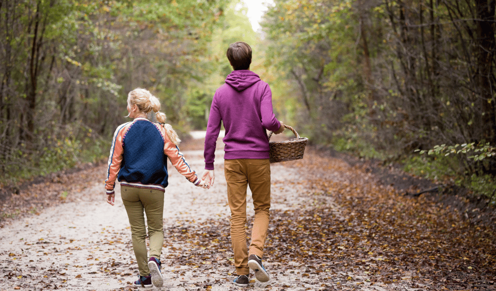 Les voies vertes en automne - foret
