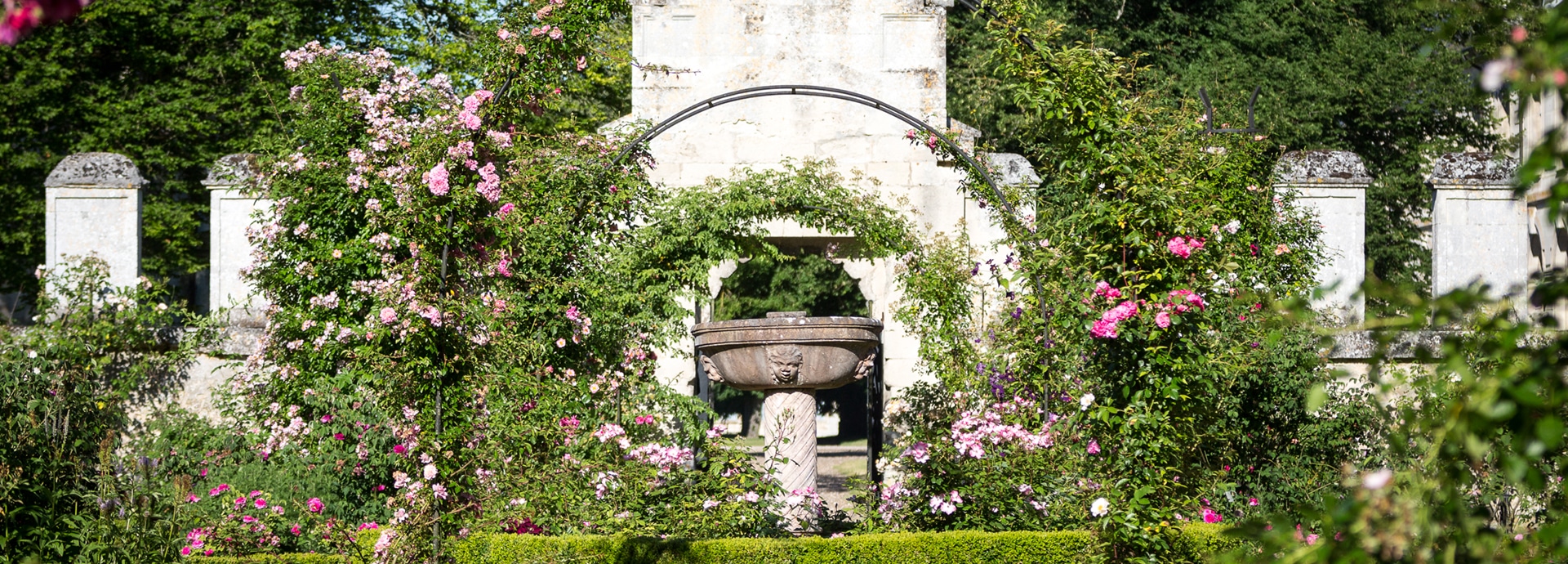Roseraie de l'abbaye de Chaalis