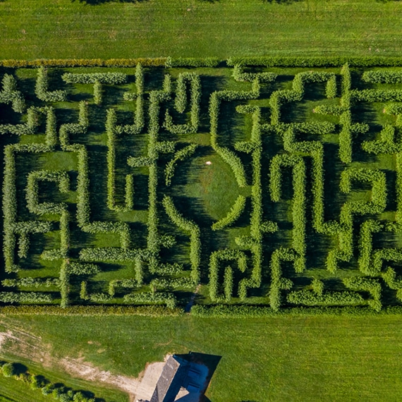 Labyrinthe du Château de Chantilly