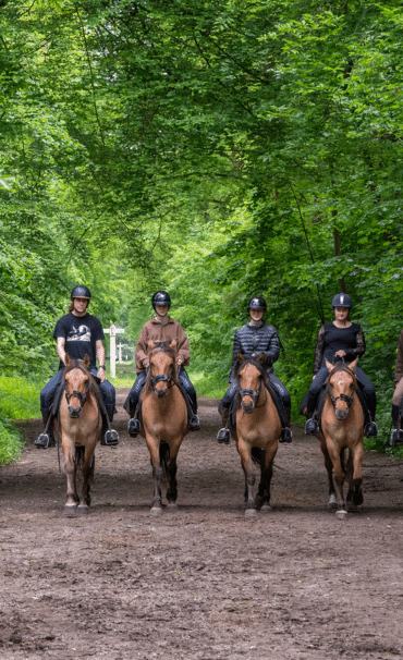 balade henson forêt compiègne