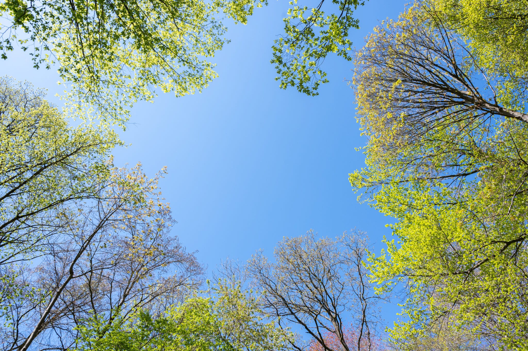Top 5 activités faire corps à corps avec la nature Oise Tourisme