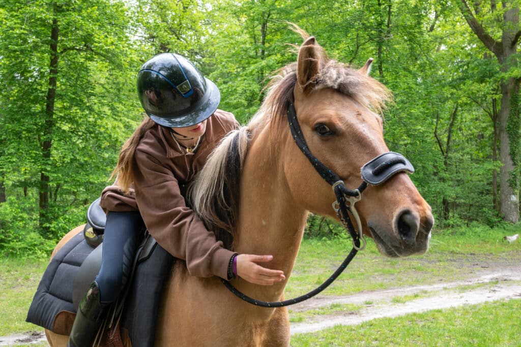 balade henson forêt compiègne