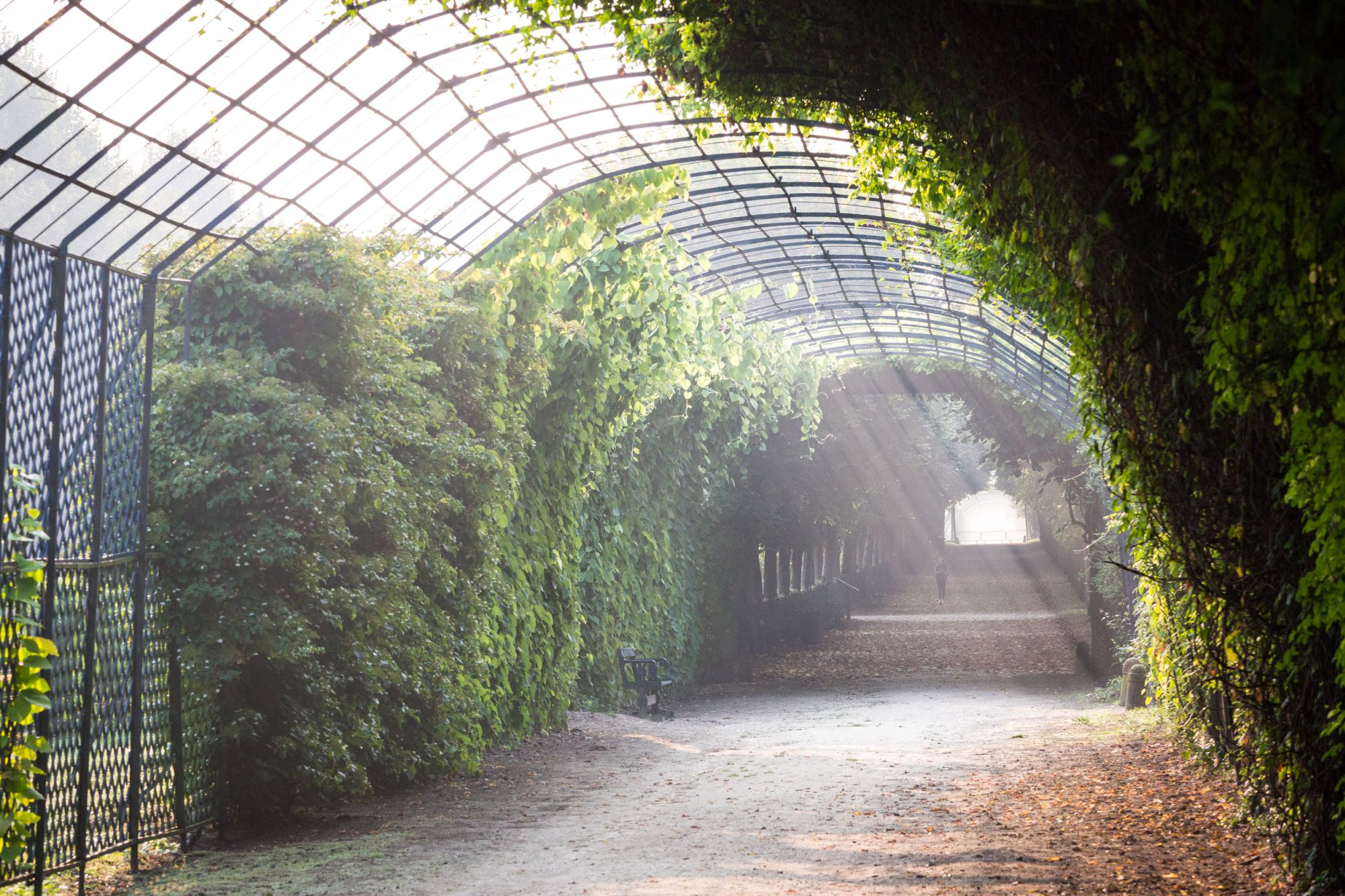 Berceau de l'impératrice du Château de Compiègne