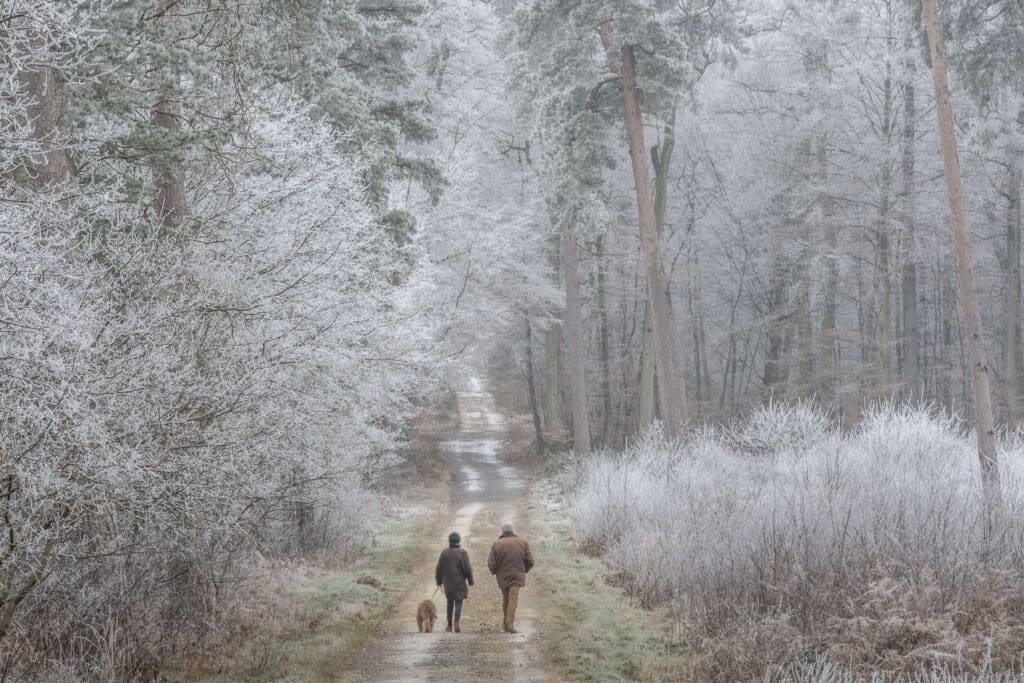 foret compiegne hiver balade © Jean-Pierre Gilson
