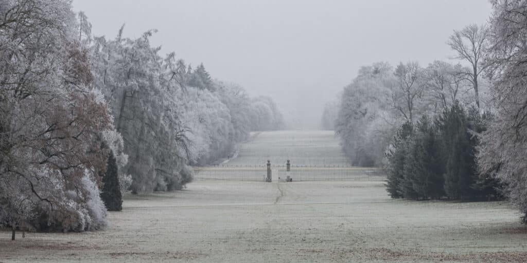 allée des Beaumonts Compiègne hiver © Jean-Pierre Gilson 2016