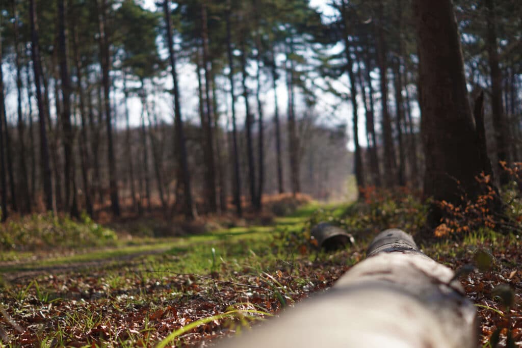 forêt Hez en hiver © Arnaud Beauvois - Oise Tourisme