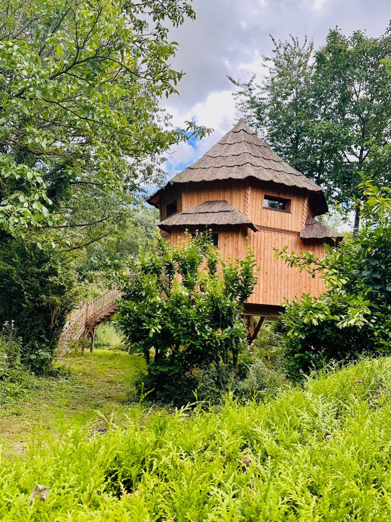 cabane observatoire au vieux moulin