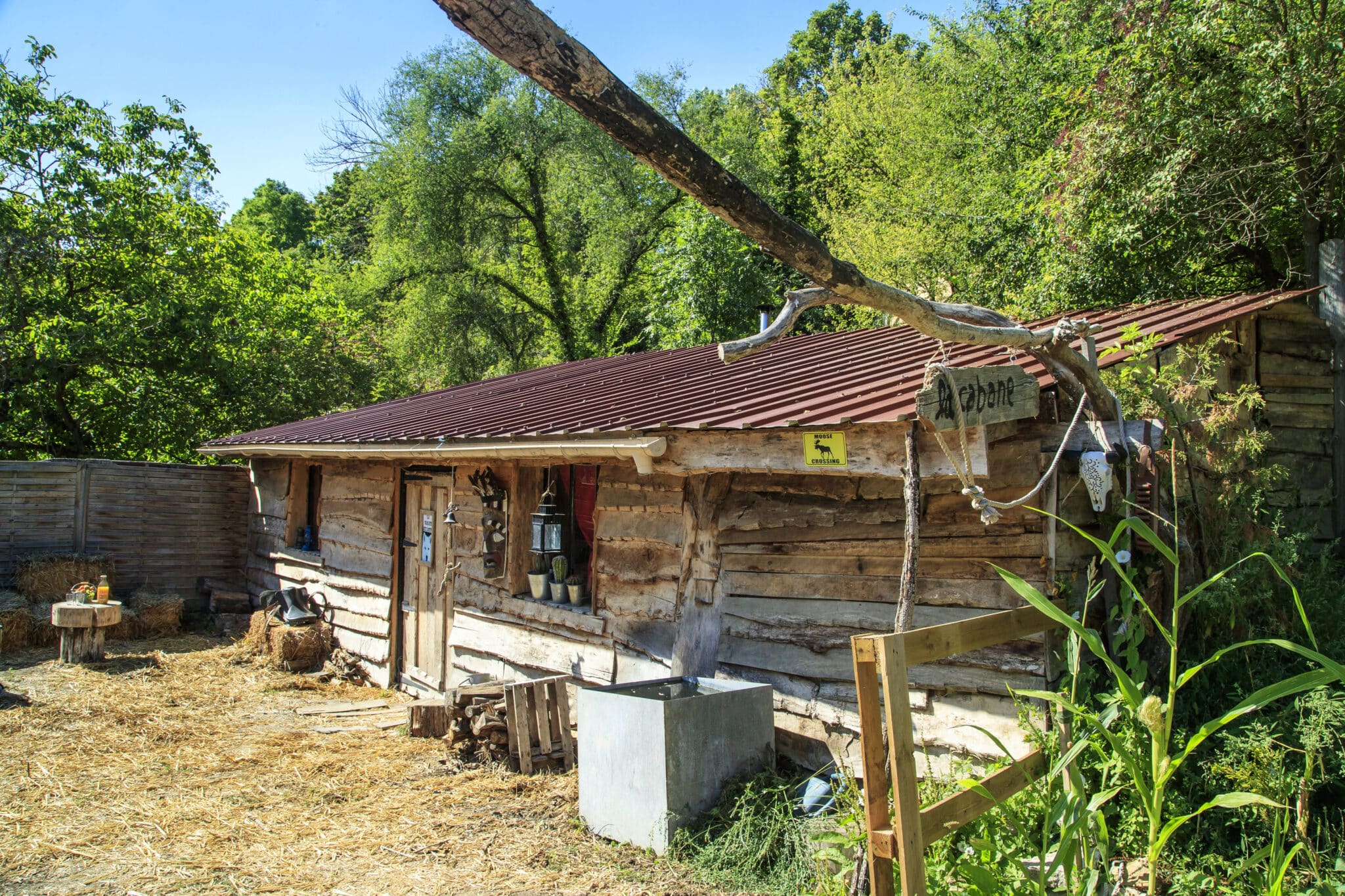 cabane des loups