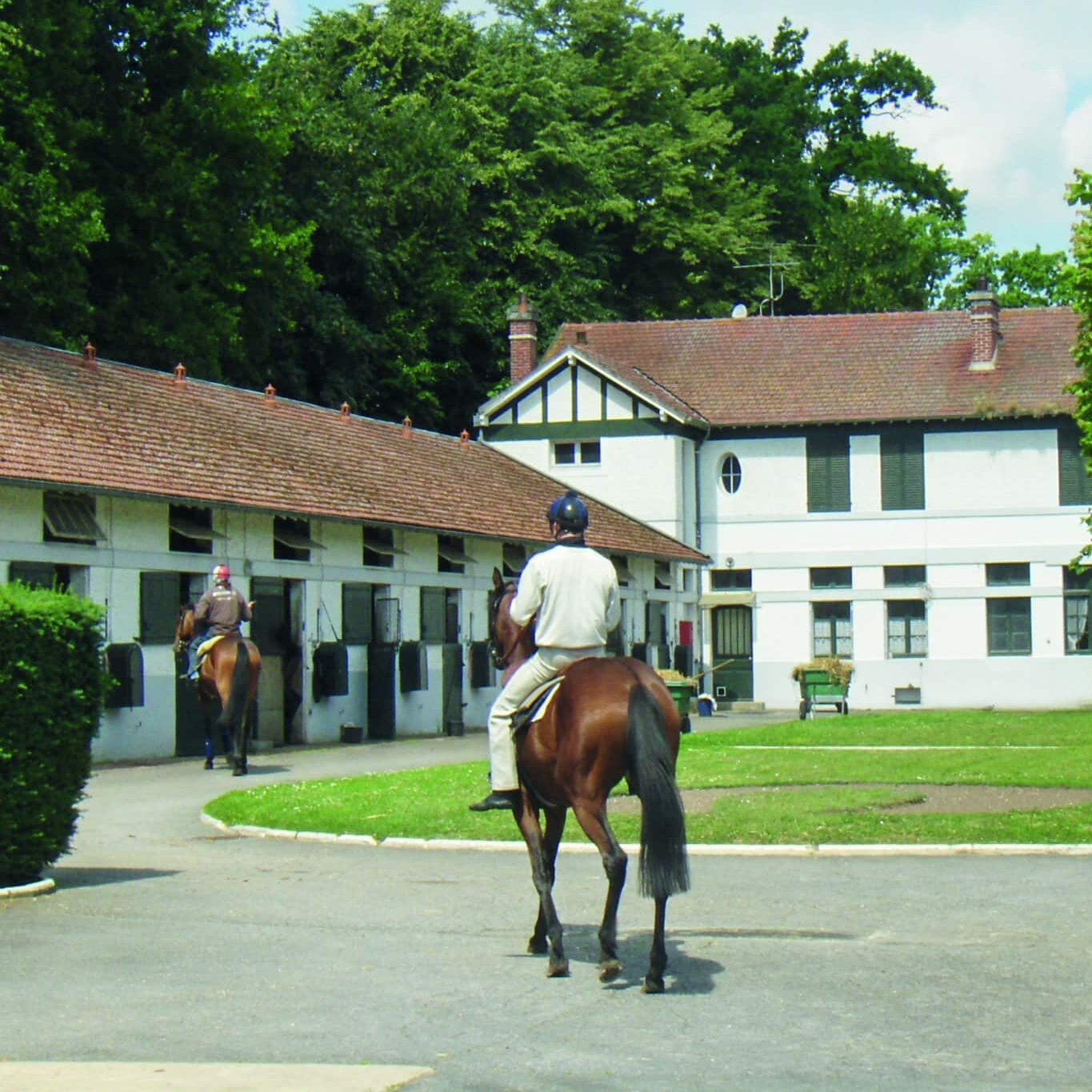 chantilly course hippique