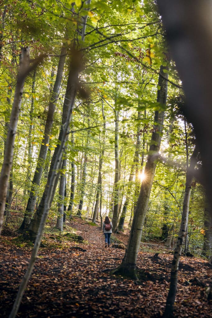 randonnée pierrefonds matin